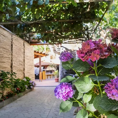La Natura X9 Whole With Private Parking Apartmán