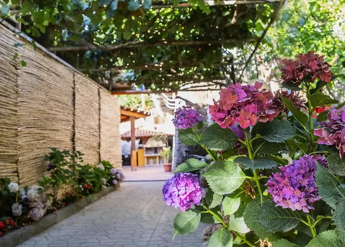 La Natura X9 Whole With Private Parking 公寓