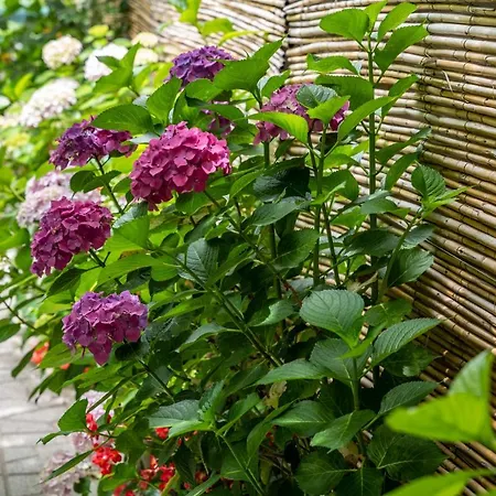 La Natura X9 Whole With Private Parking