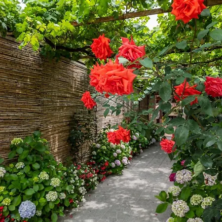 La Natura X9 Whole With Private Parking * Sorrento