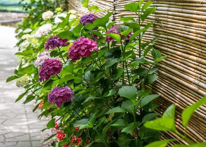 La Natura X9 Whole With Private Parking