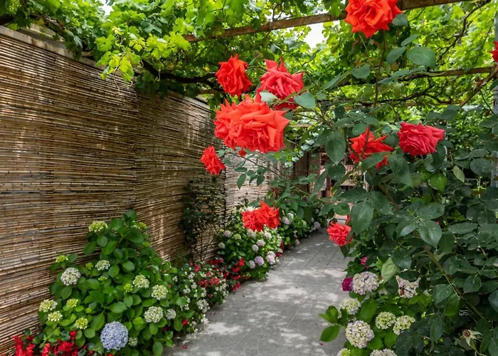 La Natura X9 Whole With Private Parking * Sorrento